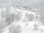 雪景             