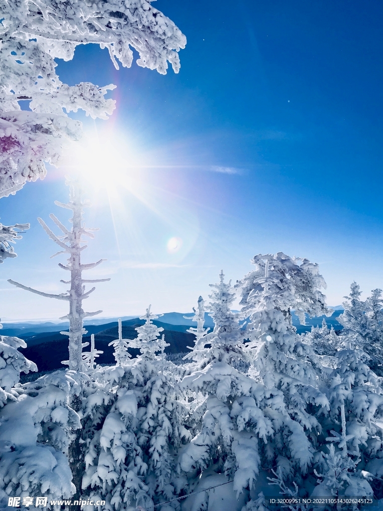 雪景             