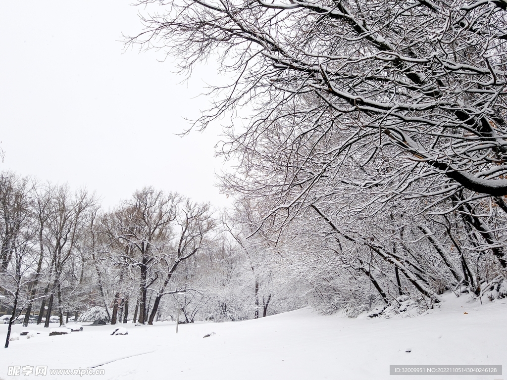 雪景             