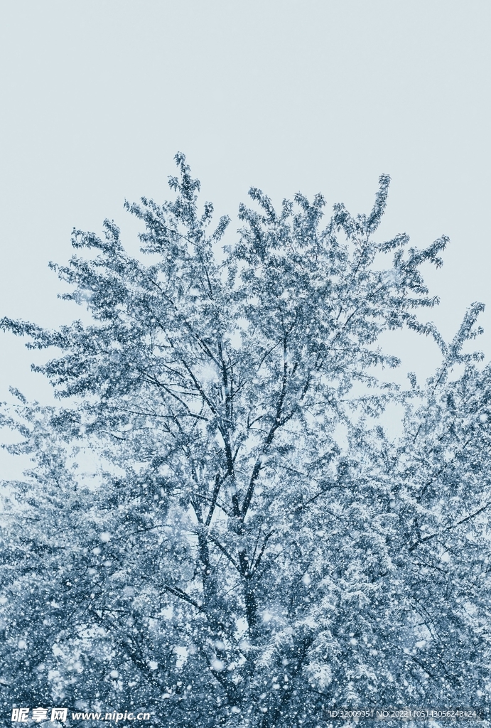 雪景             