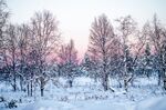雪景             