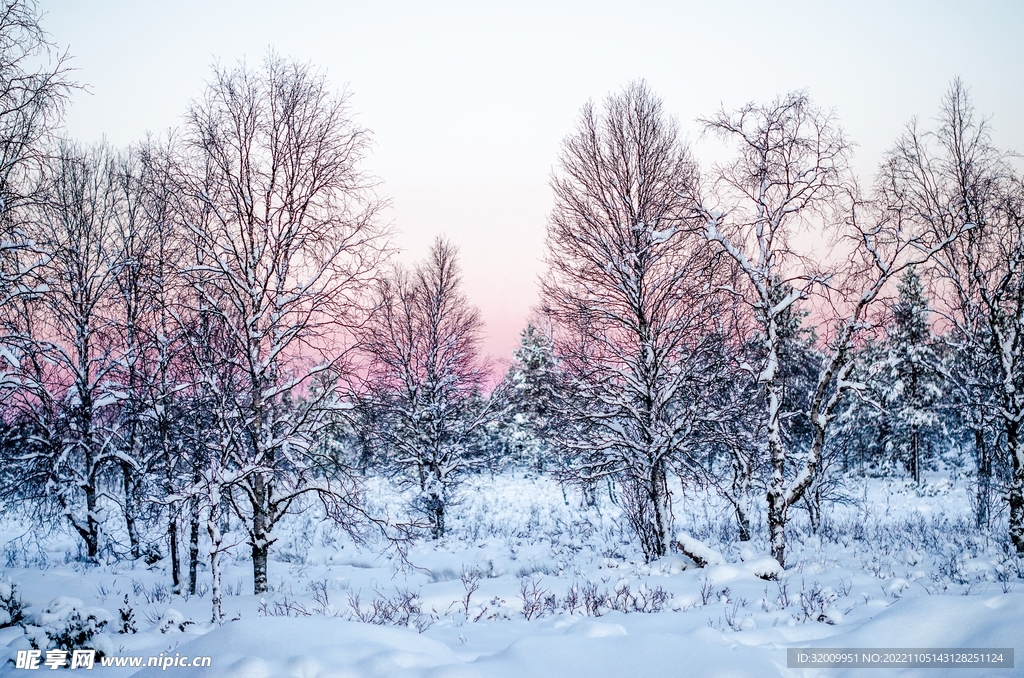 雪景             