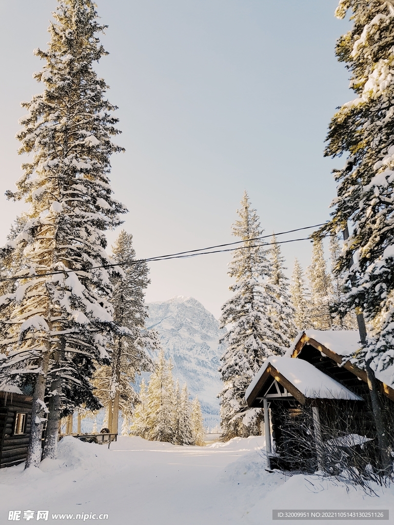 雪景             