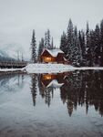 雪景             