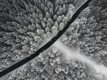 雪景             