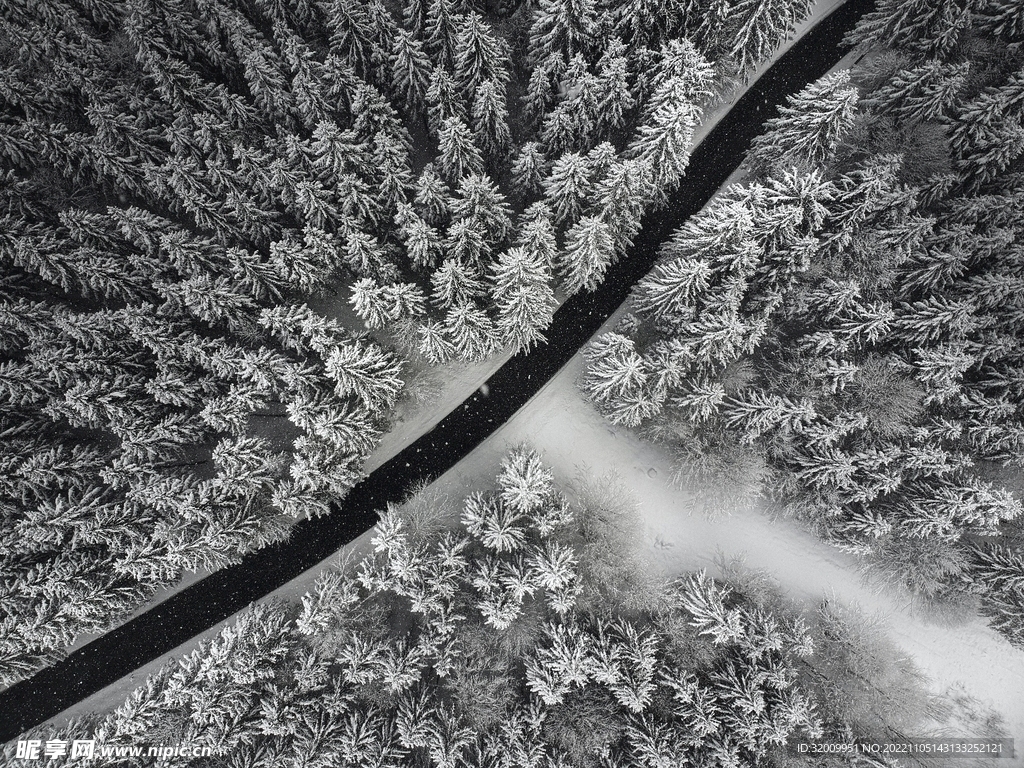 雪景             