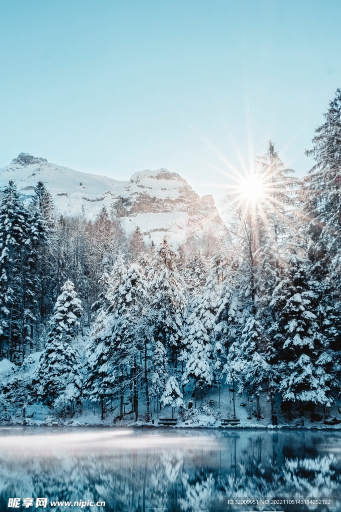 雪景             