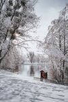 雪景             