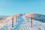 雪景             
