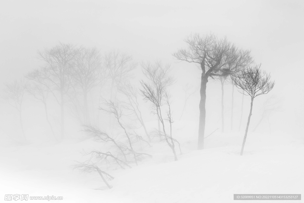 雪景             