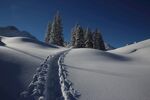 雪景             