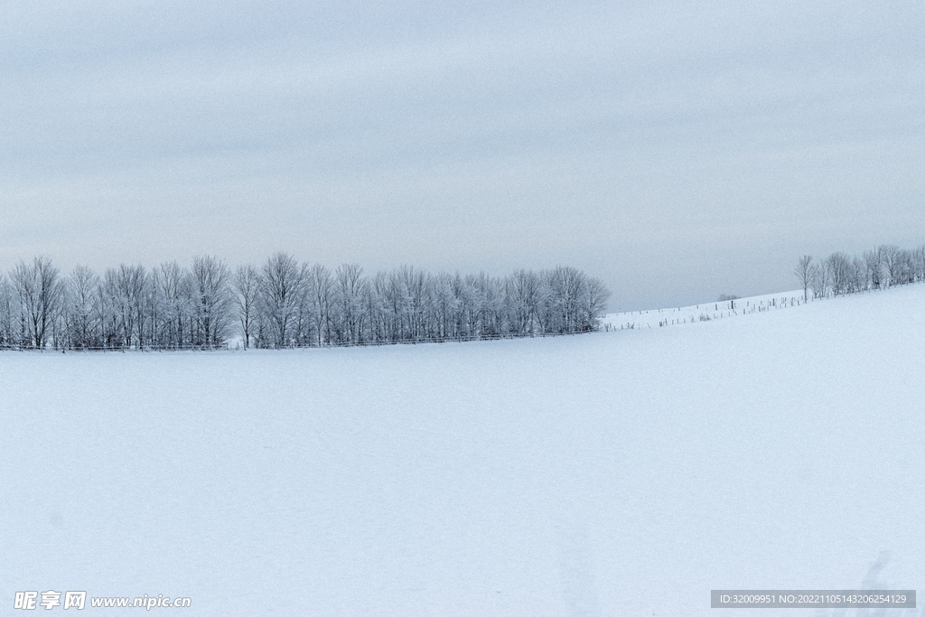 雪景             