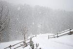 雪景             