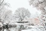 雪景             