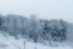 雪景             