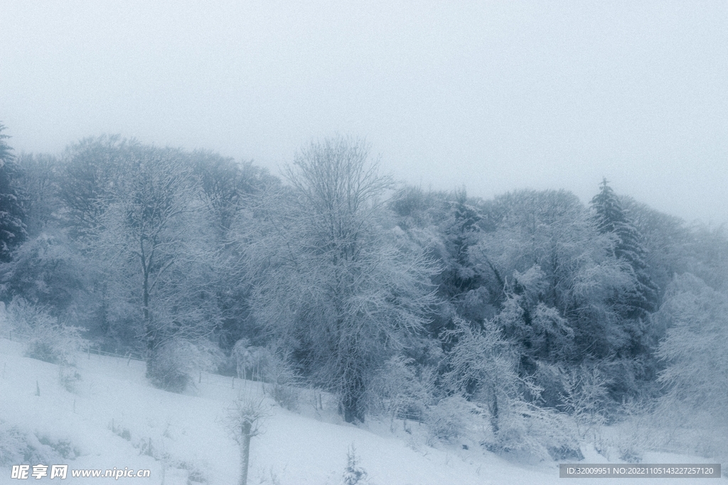 雪景             