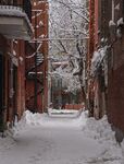 雪景             