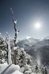 雪景             