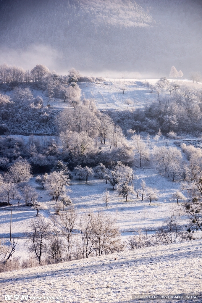 雪景             