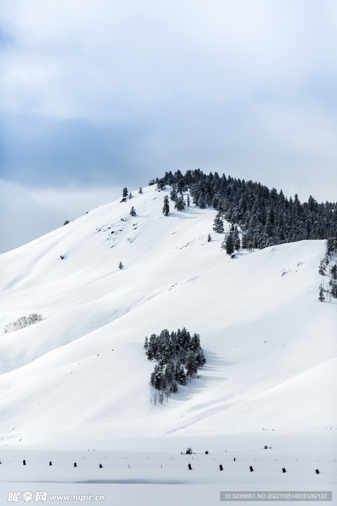 雪景             