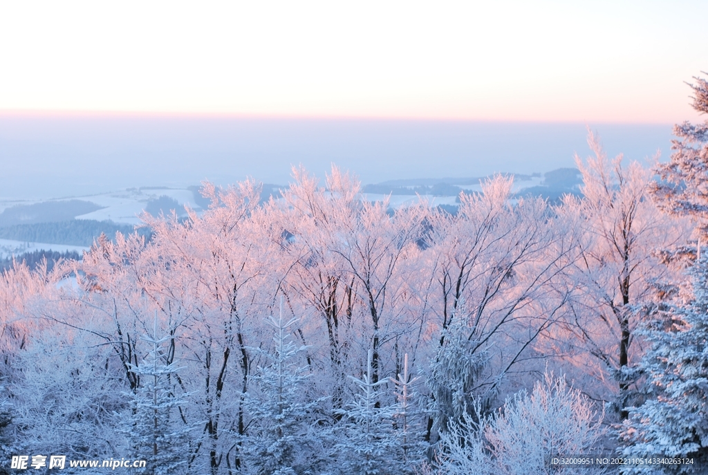 雪景             