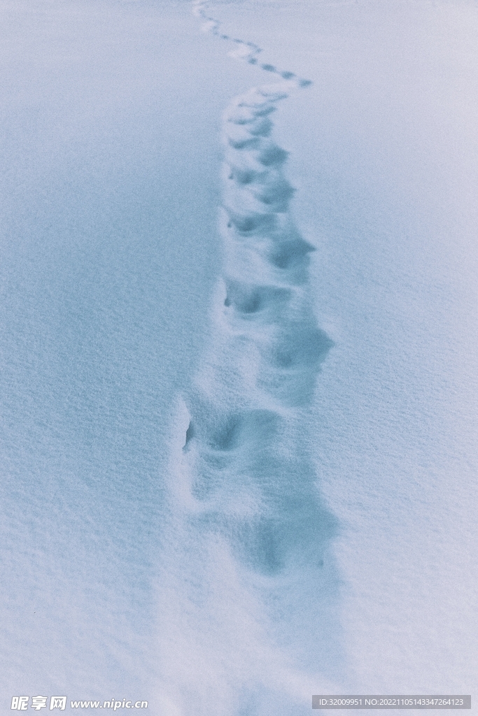 雪景             