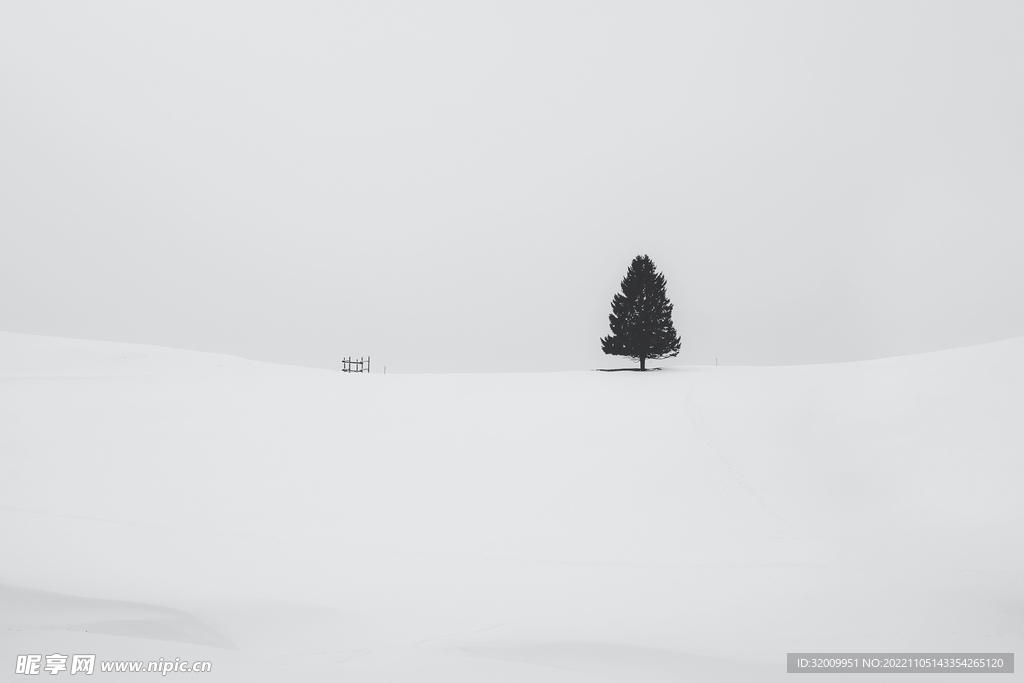 雪景             