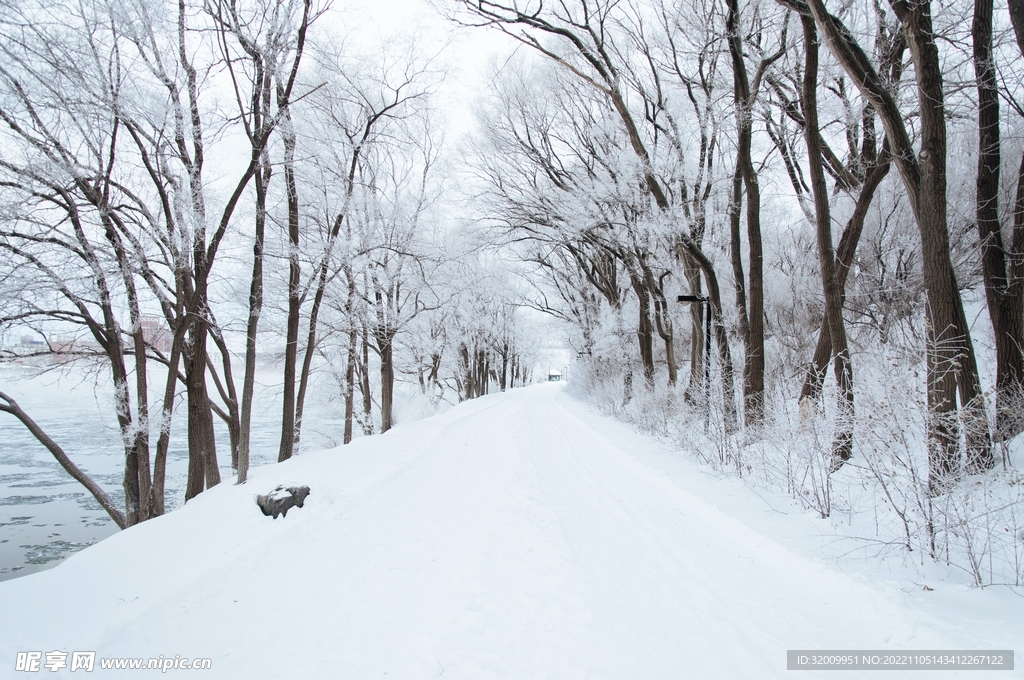 雪景             