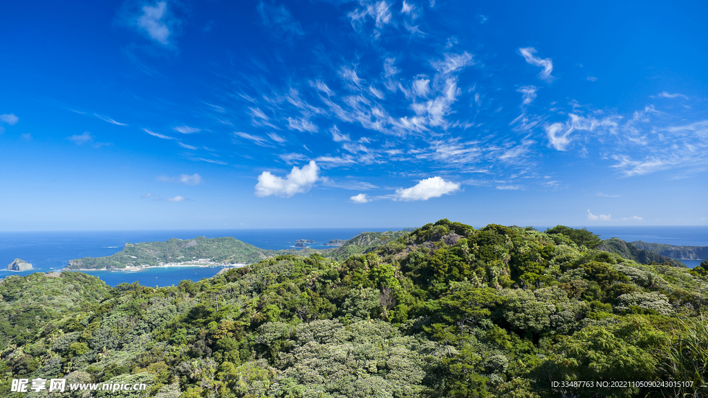 小笠原群岛