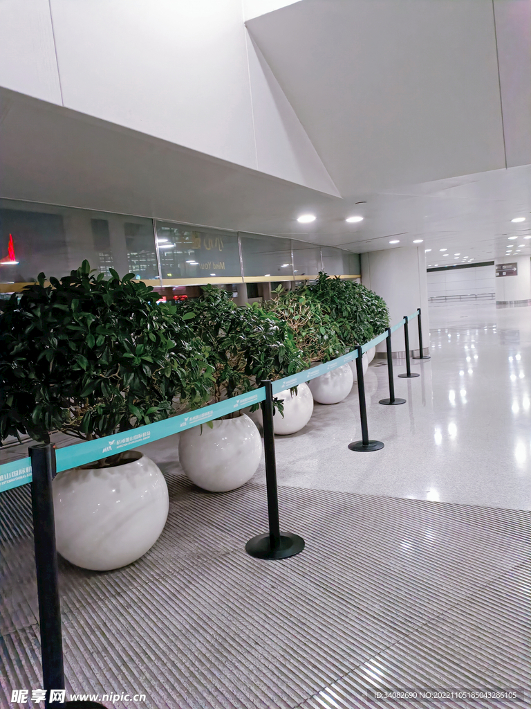 机场寂静无人的空旷角落绿植