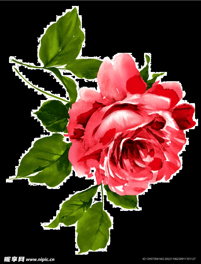 水彩绘画效果红色玫瑰花朵免抠素