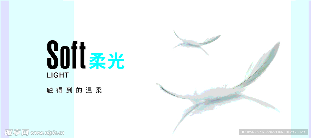 羽毛