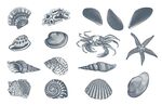 海洋生物插画