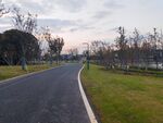 乡村公路路灯