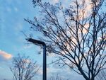 夕阳下路灯