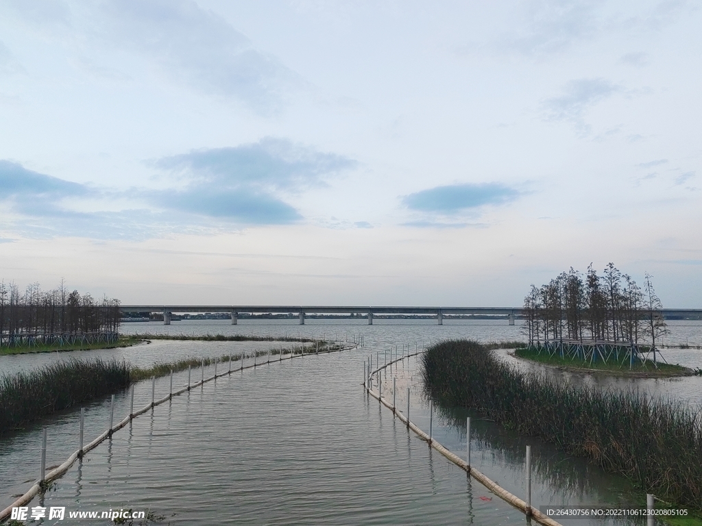 湿地跨湖大桥