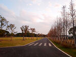 乡村公路柏油马路