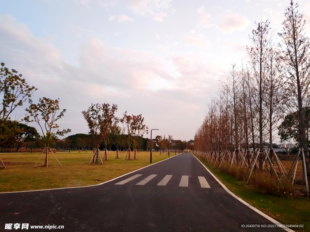 乡村公路柏油马路