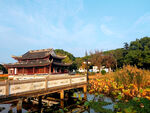 汾湖公园江南古建筑