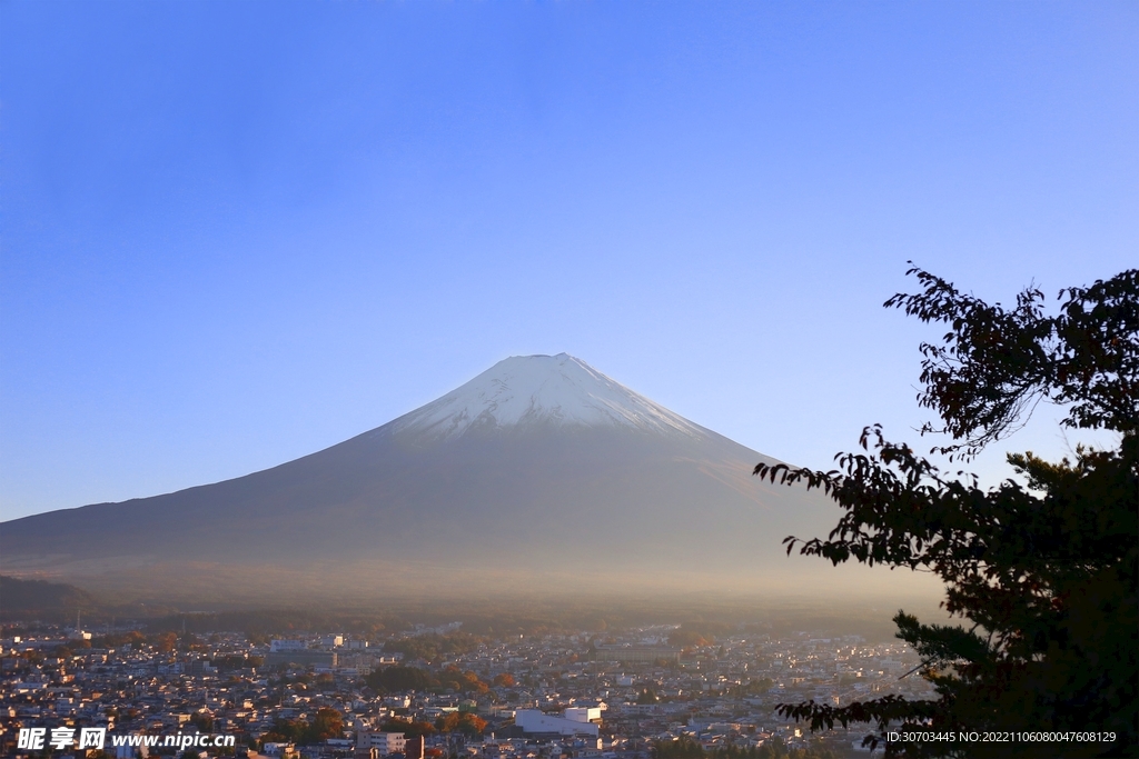 火山和树叶