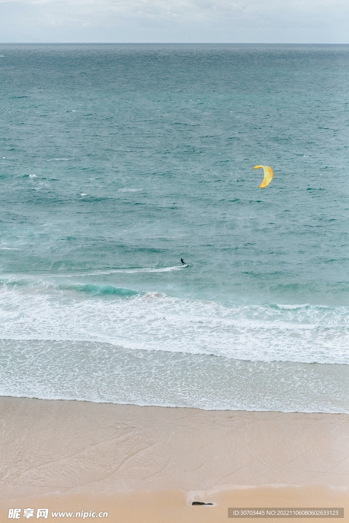 海鸥和海