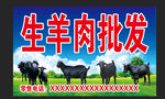 羊肉批发