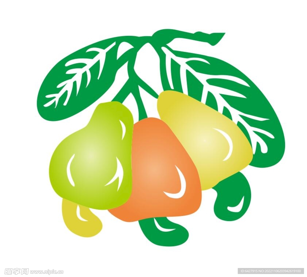 腰果矢量图