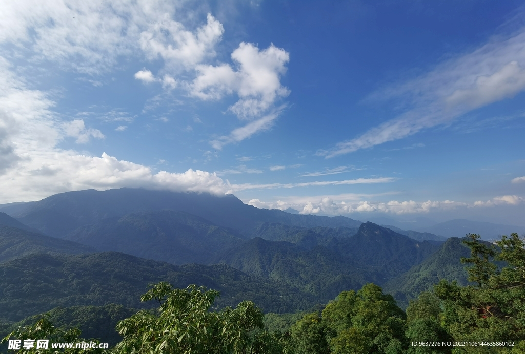 风景