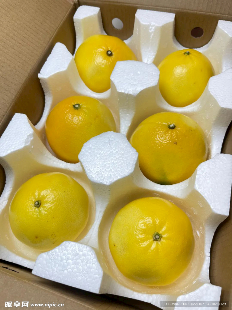 葡萄柚