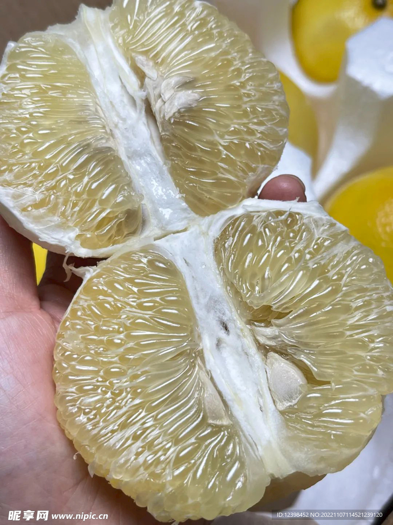 葡萄柚