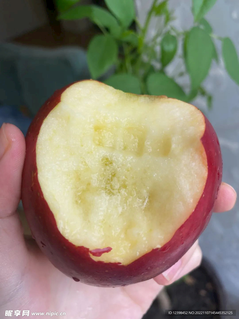 苹果