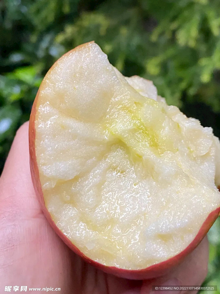 苹果