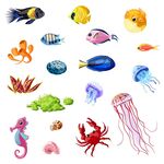 卡通海洋生物