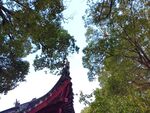中式古建筑屋檐屋顶
